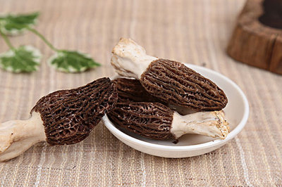 探尋新鮮羊肚菌 大自然的饋贈(zèng)與視覺(jué)盛宴